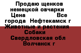 Продаю щенков немецкой овчарки › Цена ­ 5000-6000 - Все города, Нефтекамск г. Животные и растения » Собаки   . Свердловская обл.,Волчанск г.
